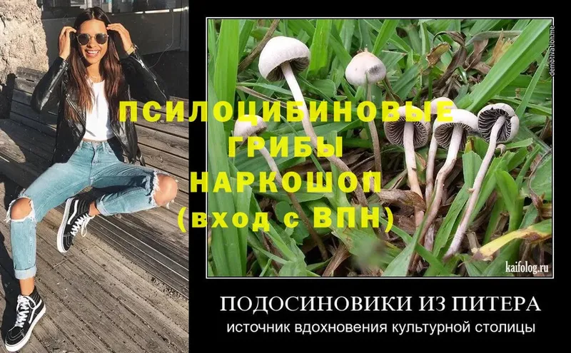 Псилоцибиновые грибы MAGIC MUSHROOMS  OMG маркетплейс  Зеленодольск 